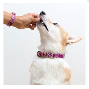 Pink Collar with matching Bracelet